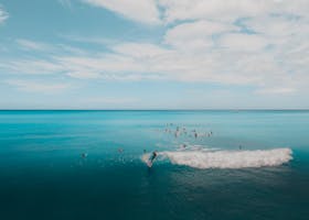 A group of surfers enjoy clear blue ocean waves under a bright sky, perfect for summer adventure.